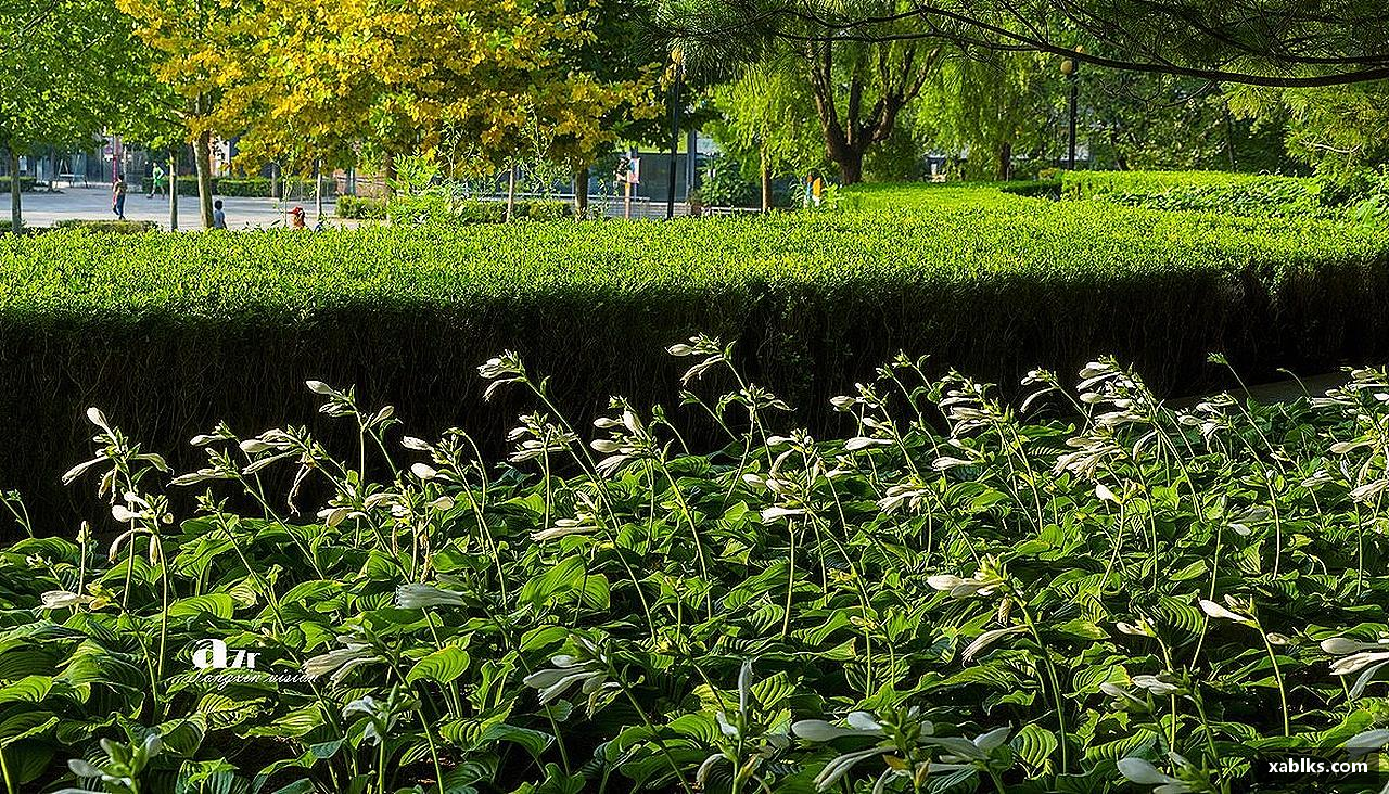 OETY欧亿体育热血奔跑，青春绽放